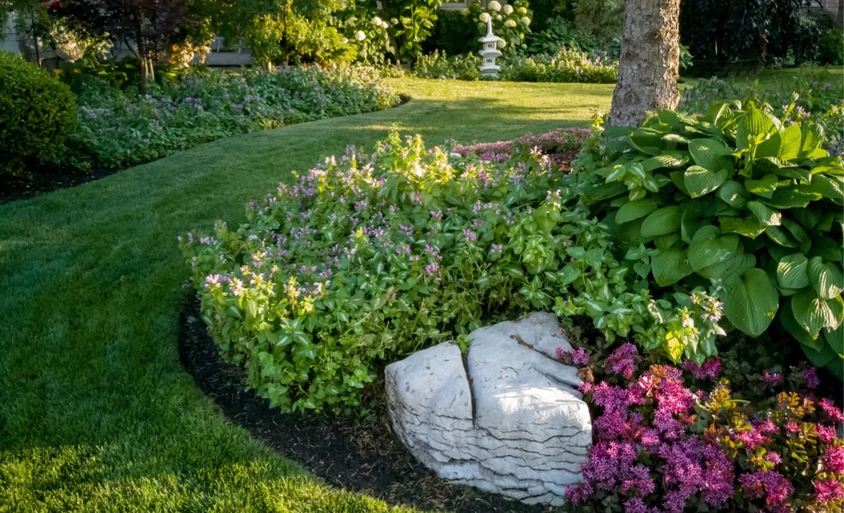 Your lawn and landscape 
 they way it should be